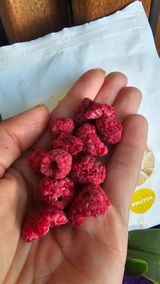 Катерина Шедріс review photo
