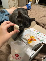 Вікторія Ладчук review photo