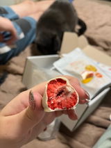 Вікторія Ладчук review photo