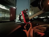 Leopard Car Phone Clip Holder
