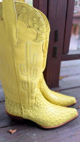 vanessa review photo