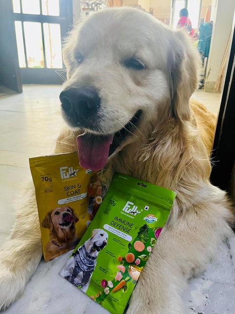 Fullr Immune Defense, Soft & Chewy Sticks for Dog