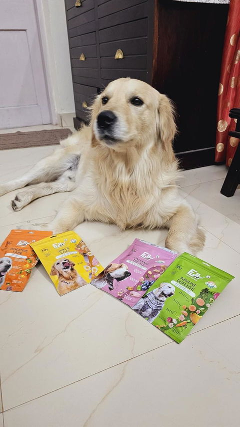 Fullr Multi-Pack of 4, Dog Treats for All Breeds