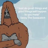 Sassy the Sasquatch review photo