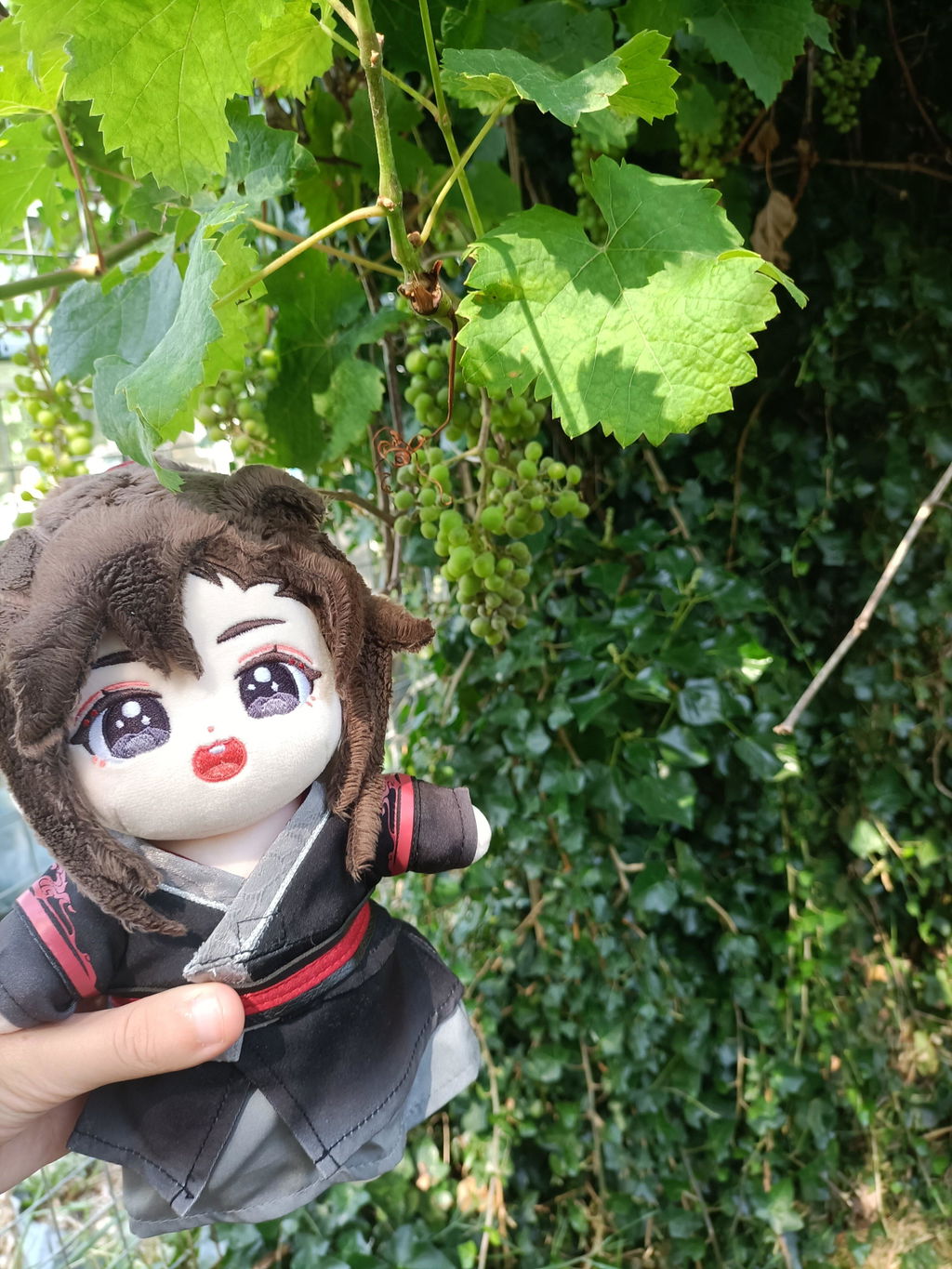 Mo Dao Zu Shi | Minidoll Wei Wuxian Lan Wangji 20cm Plush Doll