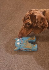 Sam & Otto review photo