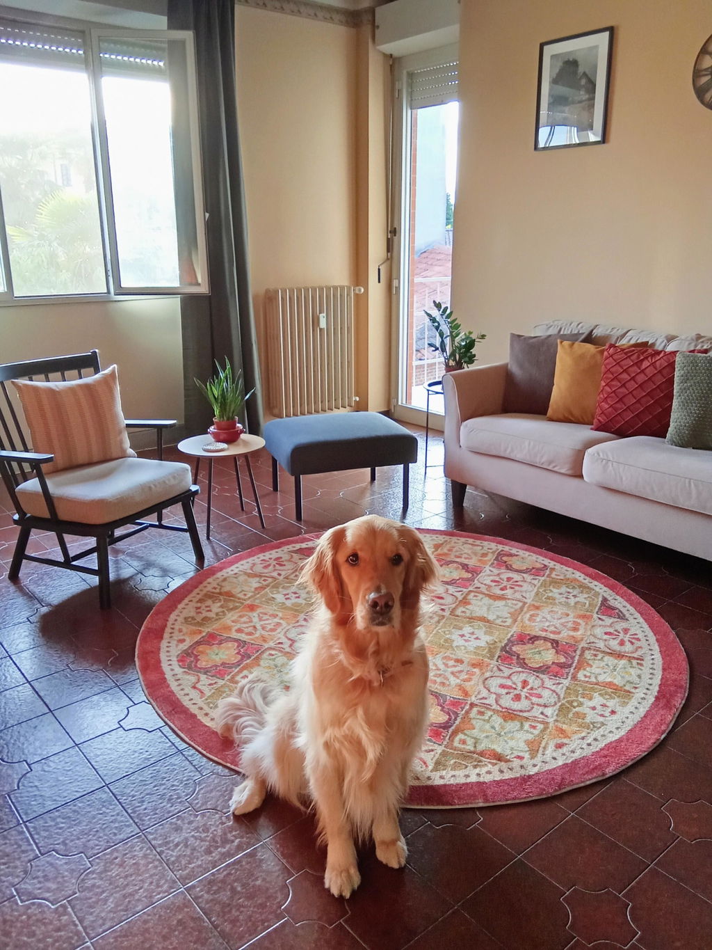 Crocchette Grain Free con Bufalo e Sgombro