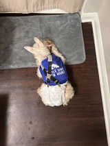 Customer review photo