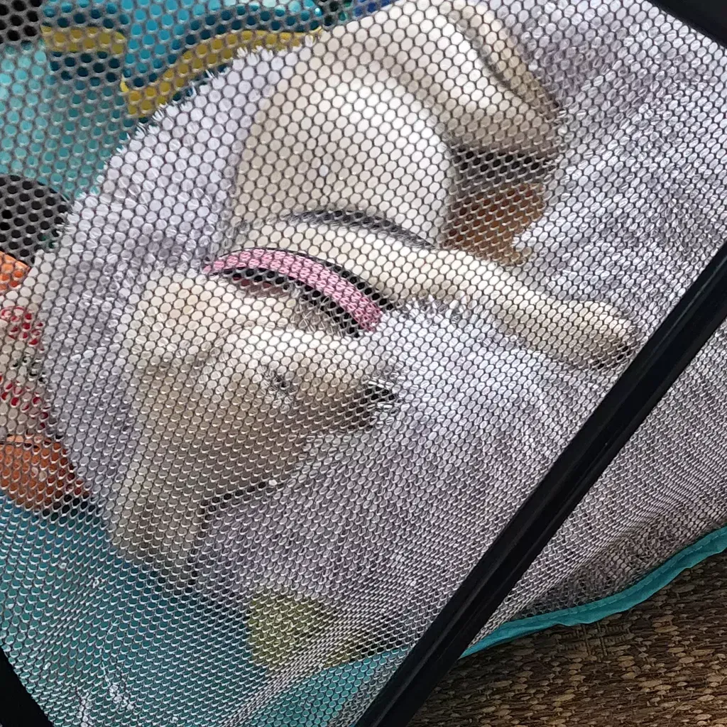 Pet Showcase
