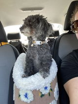 Customer review photo