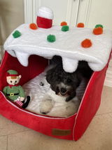 Cheri review photo