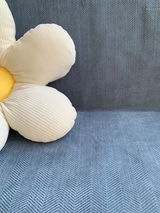 Anne review photo