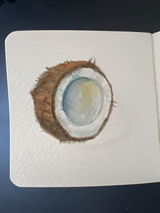 Nic review photo