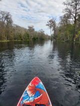 Snorkelin Moose review photo