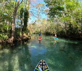 Snorkelin Moose review photo