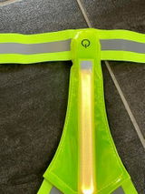 benjorito review photo