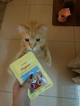 jananisucess review photo
