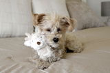 Elizabeth Heckendorn review photo