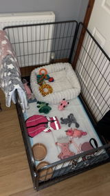 Janie's review photo