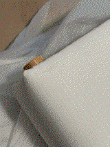 L.G. review photo