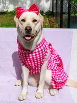 @purplegirl.thetherapypup review photo