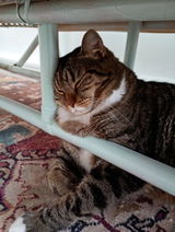 Penny D. review photo