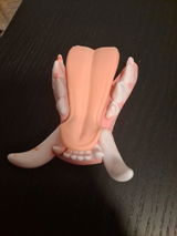 SpaceDog review photo