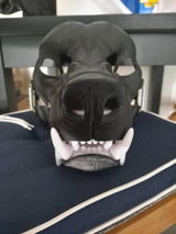 SpaceDog review photo