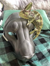 Green Wolf review photo