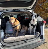 V.R. review photo