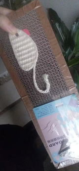 A.H. review photo