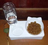 A.M. review photo