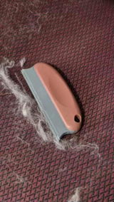N.D. review photo
