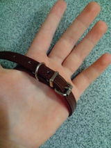 C.N. review photo