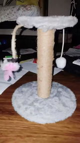 A.P. review photo