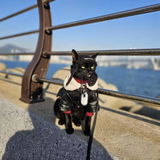 J.T. review photo