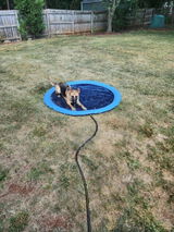 Logan Moore review photo