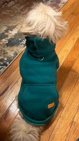Anonymous review photo