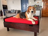 Vaishnavi R. review photo