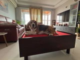 Vaishnavi R. review photo