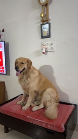 Pooja M. review photo
