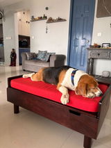 Vaishnavi R. review photo