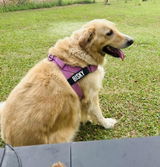 Datin Zarina Ariffin review photo