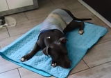 lori c. review photo