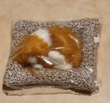 DeannaHall review photo
