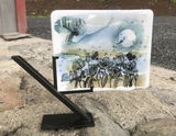 Gail Schmitt review photo