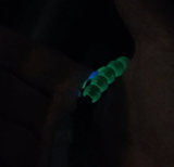 X.M. review photo