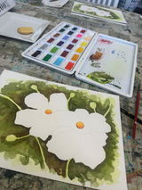 Lucy Van Ligten review photo