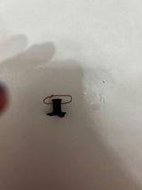 E.S. review photo