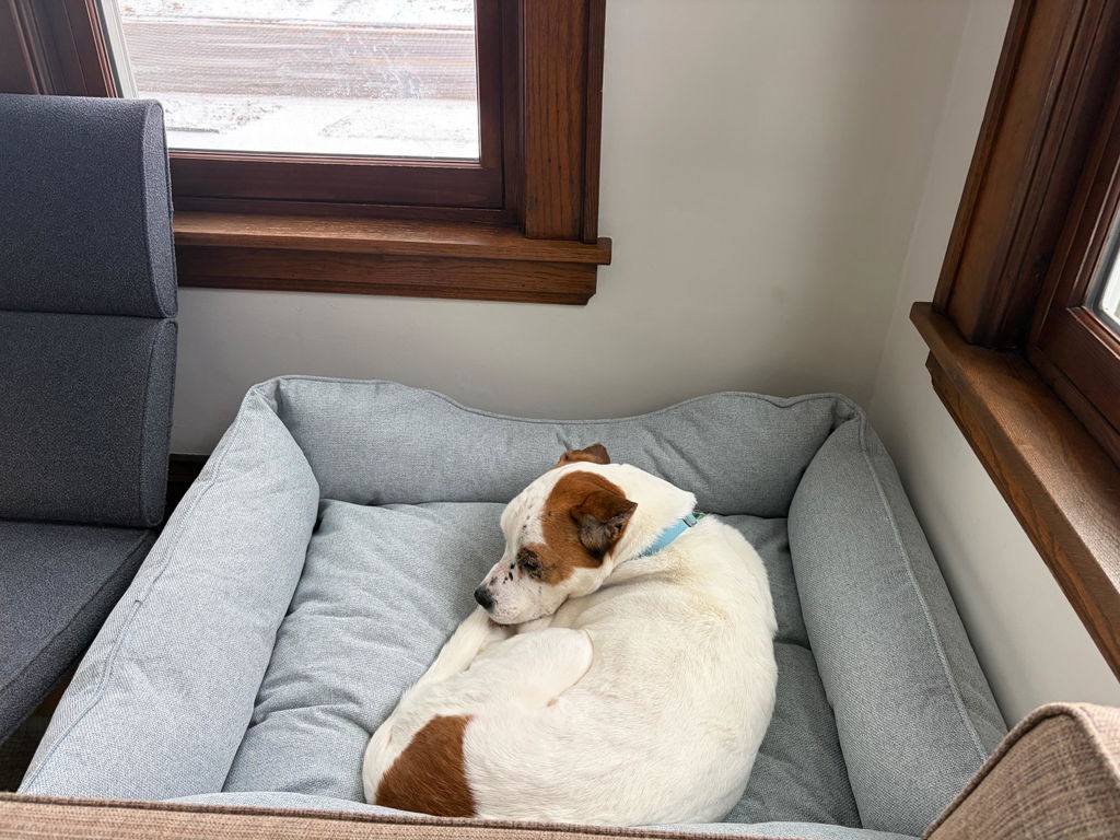 The FÜZI Elevated Dog Bed